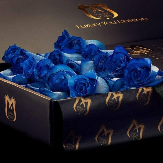 Blue Roses in Signature Boxes