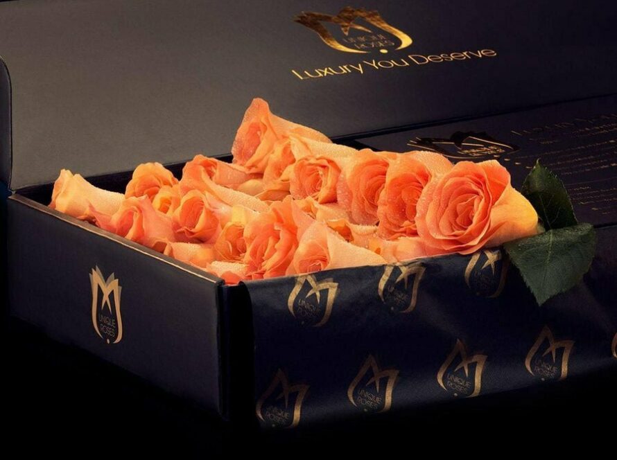 Orange Roses