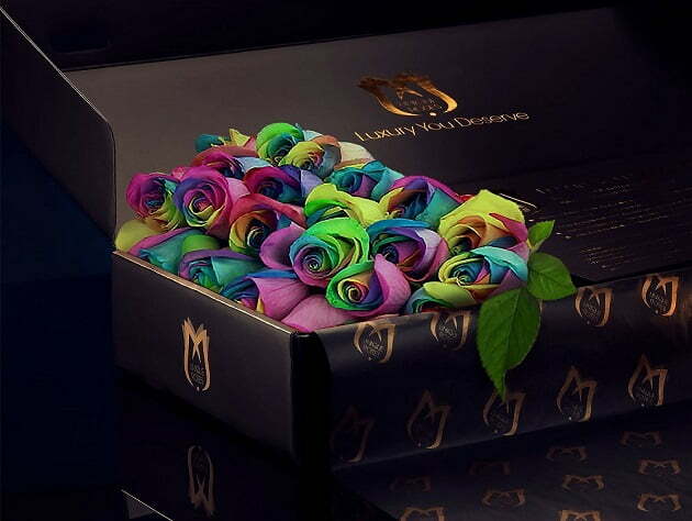 Vibrant Rainbow Roses
